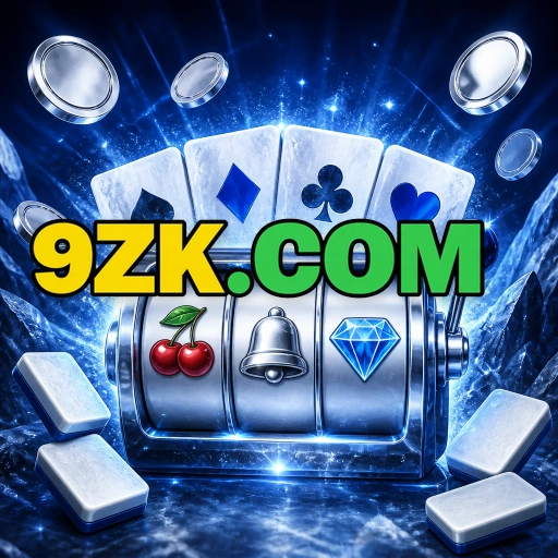 9zk Version Comparison